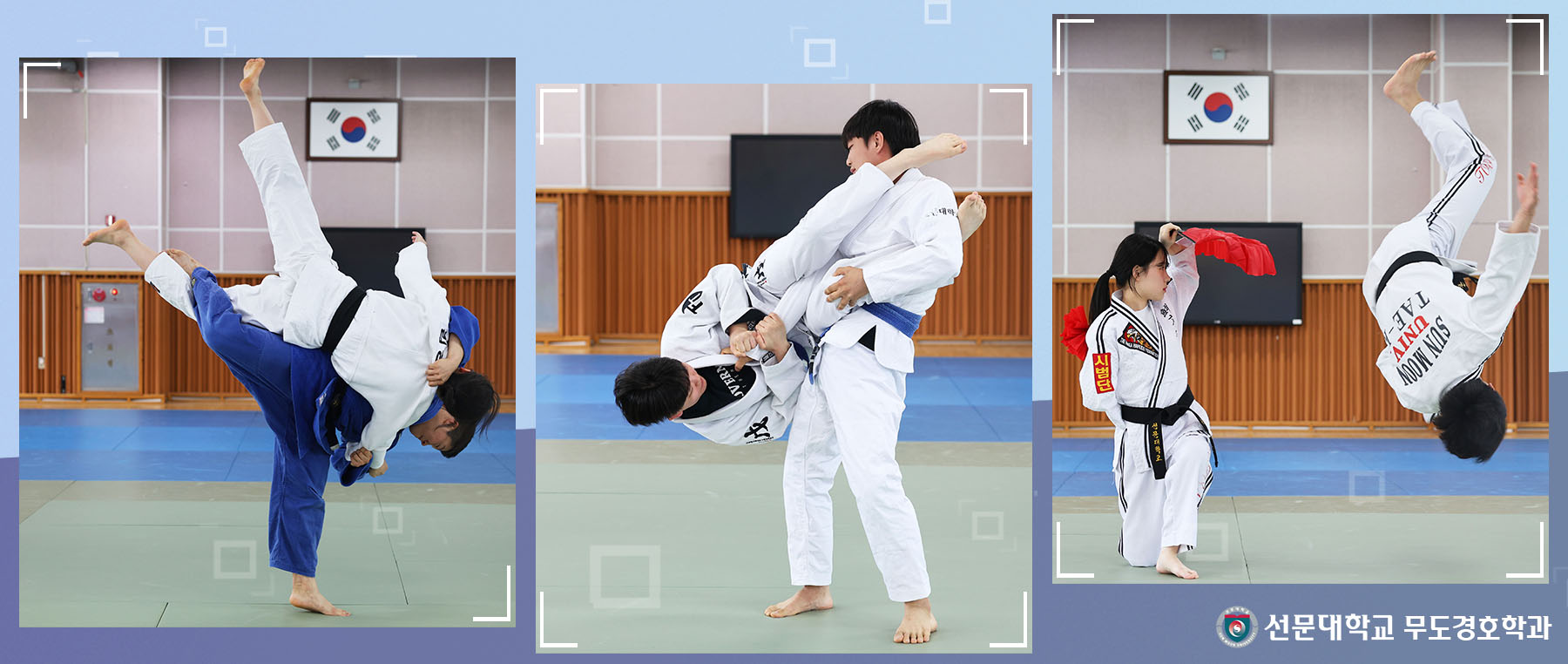 무도경호학과